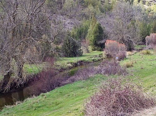 Viejo River