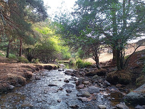 Frío or La Acebeda River