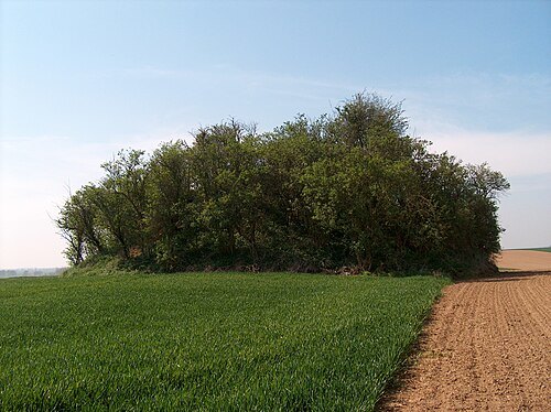Tumulus of Avernas