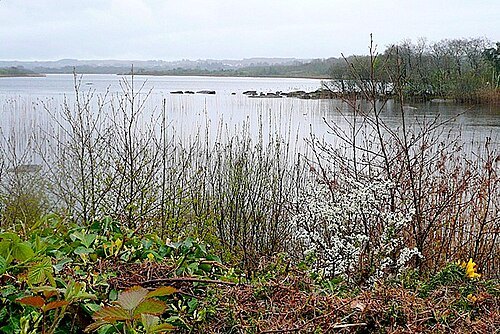 Ballycuirke Lough