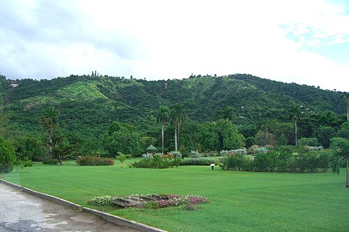 Real Jardín Botánico, Hope