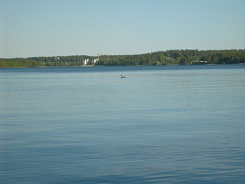 Sunisenselkä