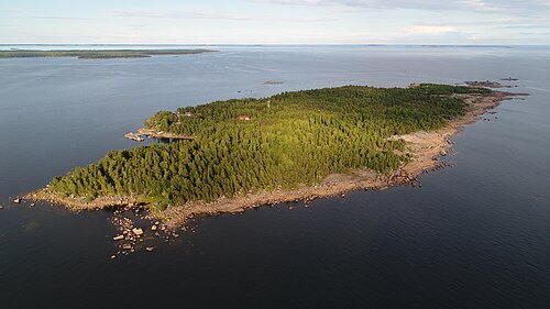 Rankki