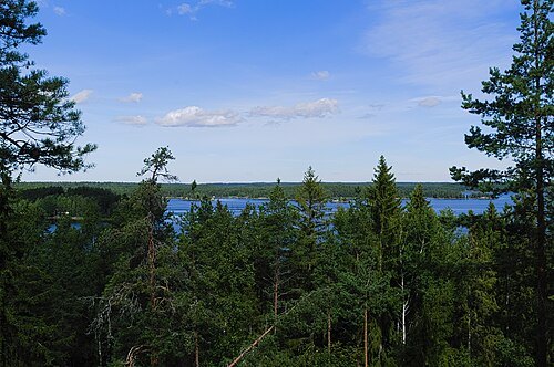 Kuivaketvele
