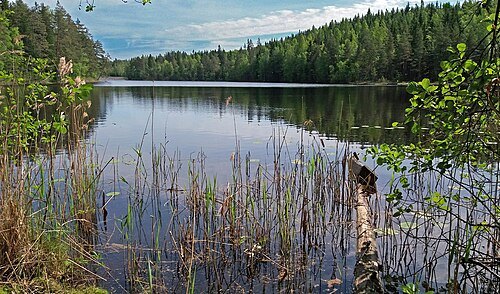 Vääräjärvi