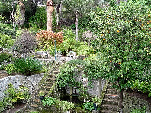 Jardín Botánico de Gibraltar