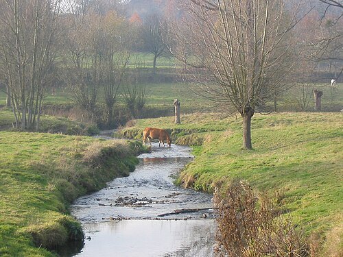 Gulp River