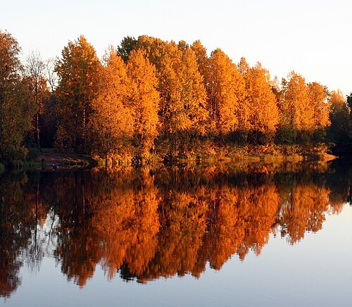 Lammassaari