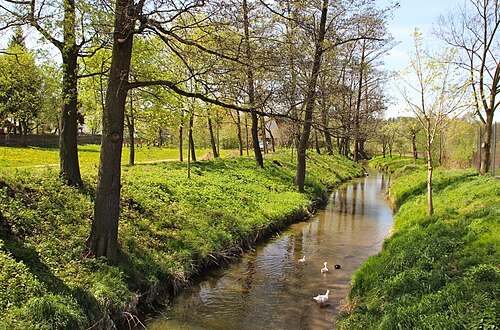 Troja