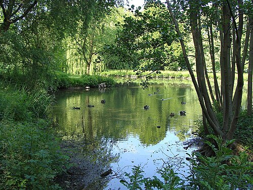 Groot Park