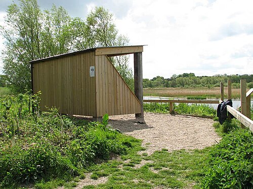RSPB Surlingham Church Marsh