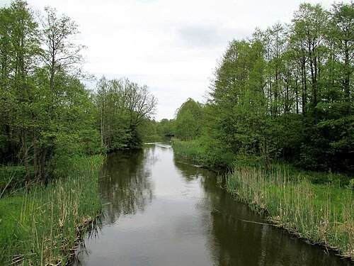 Moŭčadź