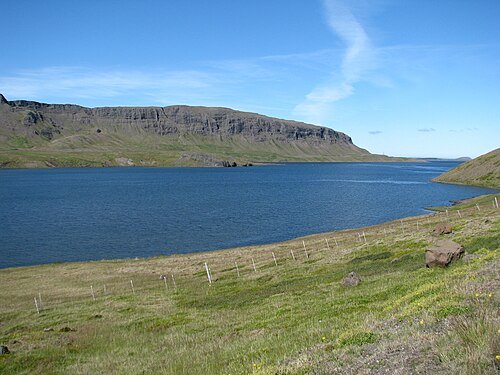 Álftafjörður