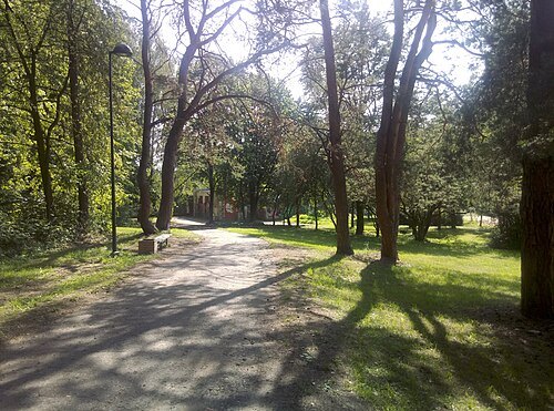 Vingis Park