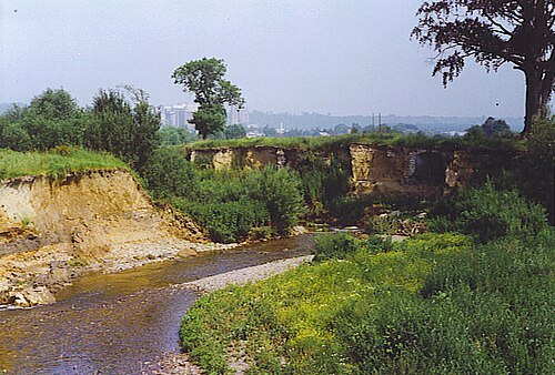 Berwinne