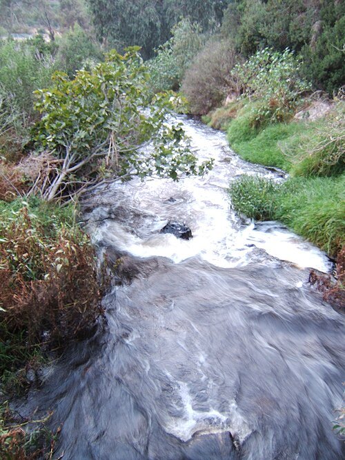 Nahal Sorek