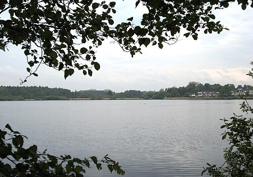 Vorderer Russee