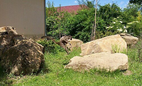 Zoo Pilsen