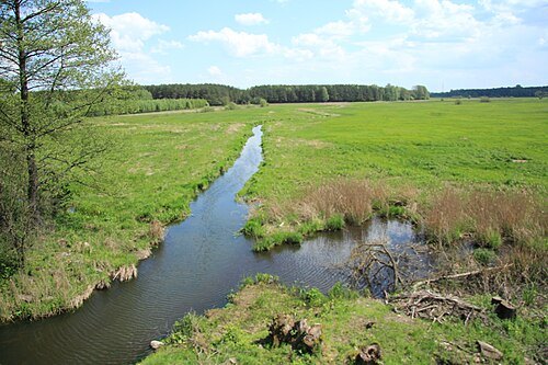 Turośnianka