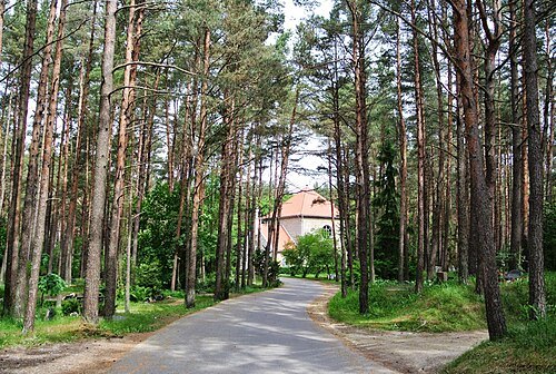 Metsakalmistu