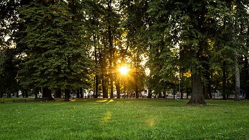 Park Mladen Stojanović