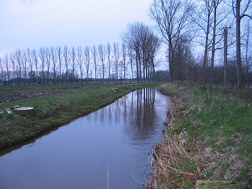 Mangelbeek