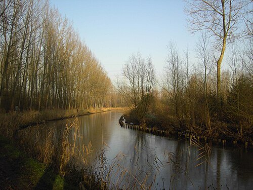 Moervaart