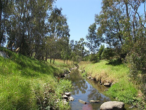 Darebin Creek