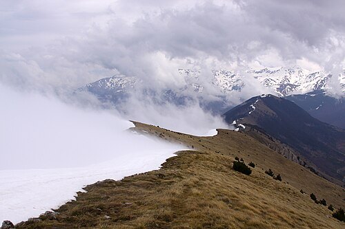 Oshlak Strict Nature Reserve