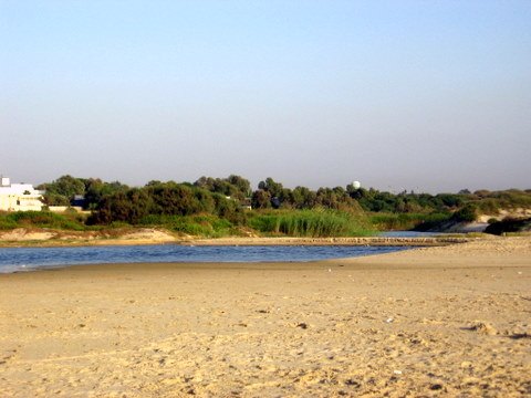 Nahal Poleg