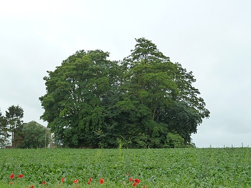 Tumulus of Vissoul