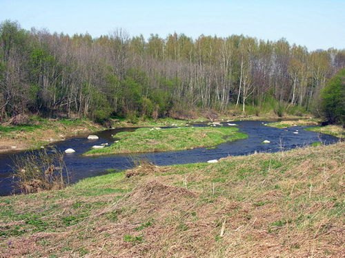 Vadakste