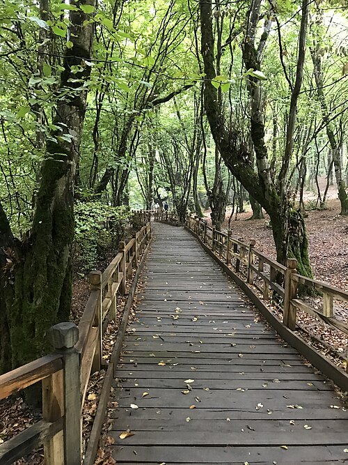 Alang Darreh Forest Park