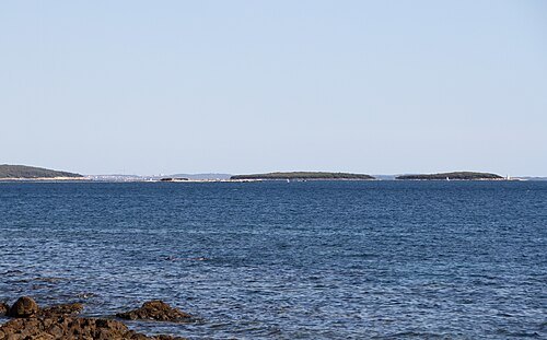 Revera