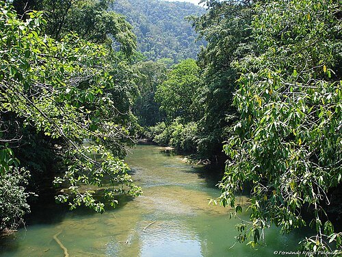 Sarstoon River