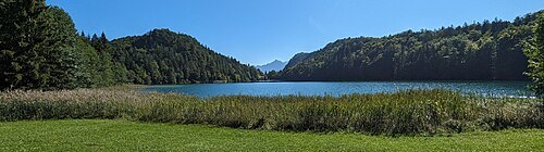 Alatsee