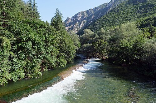 Treska