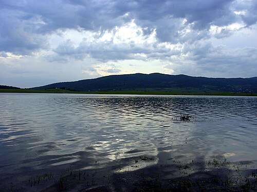 Bazaleti Lake
