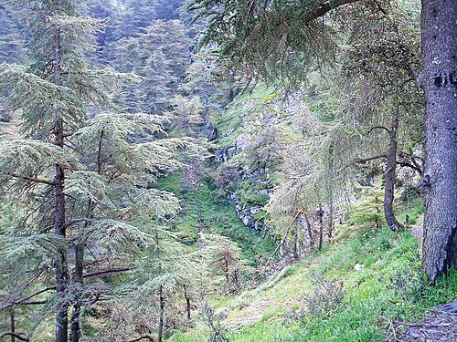 Chrea National Park