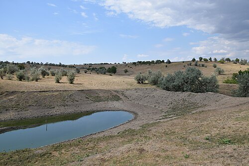 Hrebenyky Natural Researve