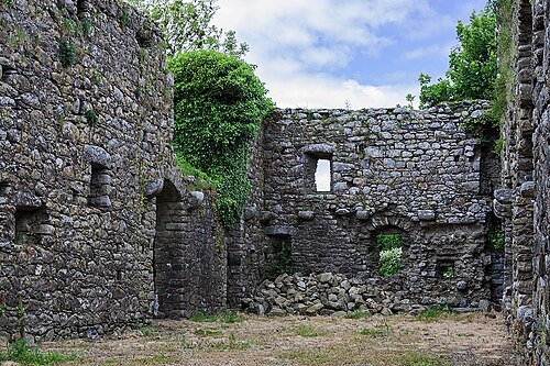 Rathumney Castle