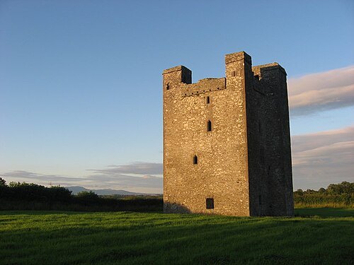 Roodstown Castle