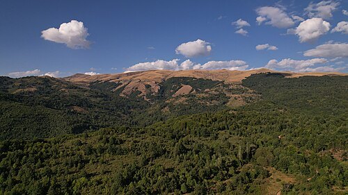 Stogovo