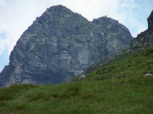 Świnica