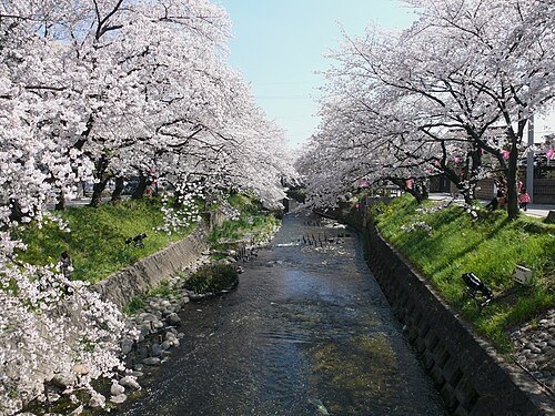 五條川