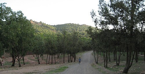 Jbel Hamra