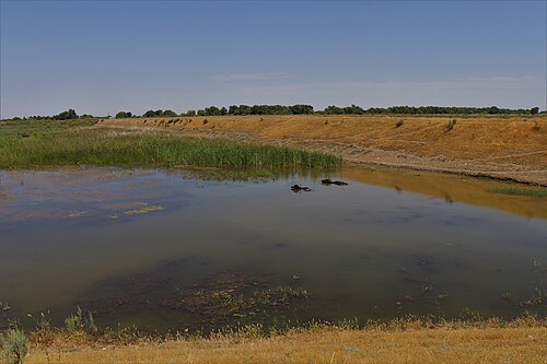 Lago Sarysu