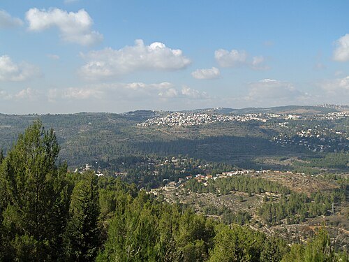 Jerusalem Forest