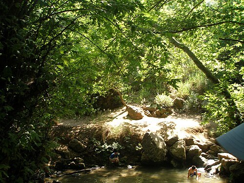 Nahal Amud