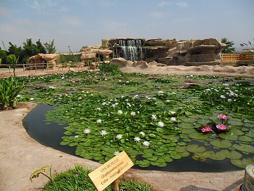 Crocoparc Agadir